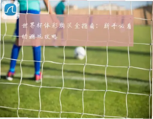世界杯体彩怎么买？新手材料准备指南